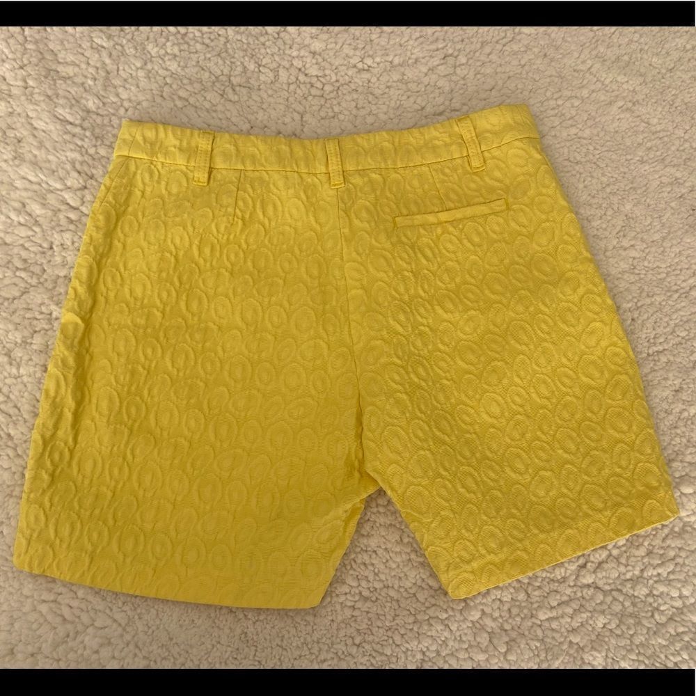Anthropologie Annie P Shorts - Picture 7 of 9
